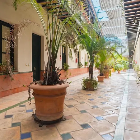 Avanti Cartuja Seville