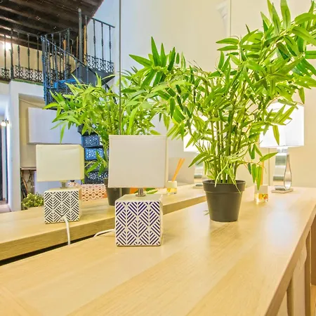 Precioso Duplex Estilo Sevillano En Pleno Centro Appartement *
