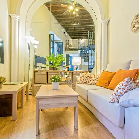 Precioso Duplex Estilo Sevillano En Pleno Centro Séville