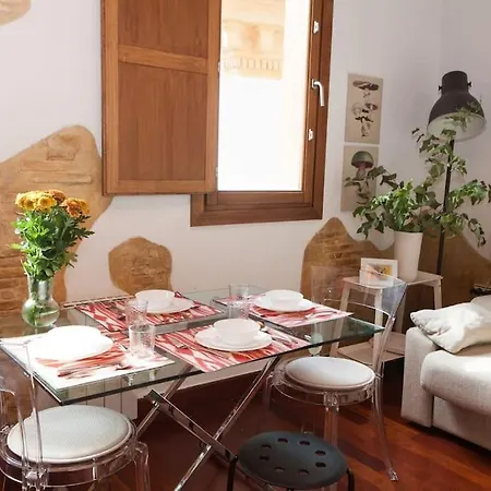 Atico Con Vistas Apartment *