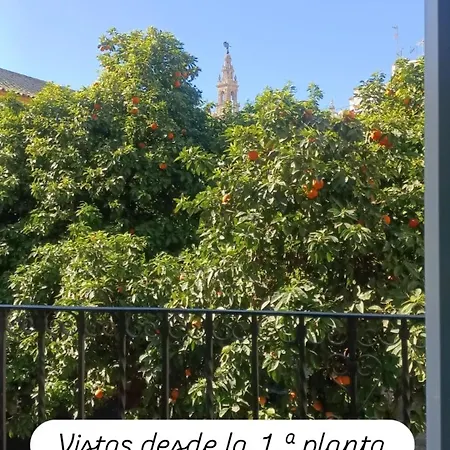 En La Plaza Dona Elvira, 7 *