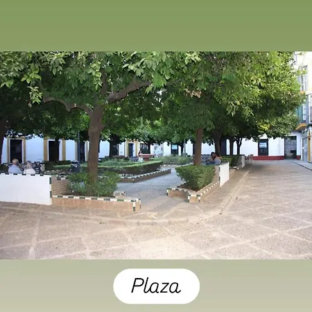 En La Plaza Dona Elvira, 7 Apartment