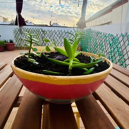 La Azotea Del Sol Apartment *