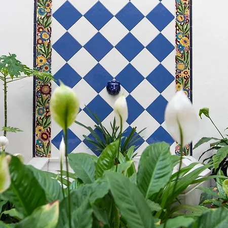 Apartamento Alohamundi Alfareria Ii