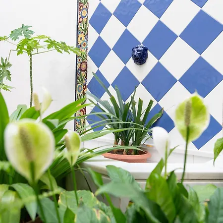 Apartamento Alohamundi Alfareria Ii