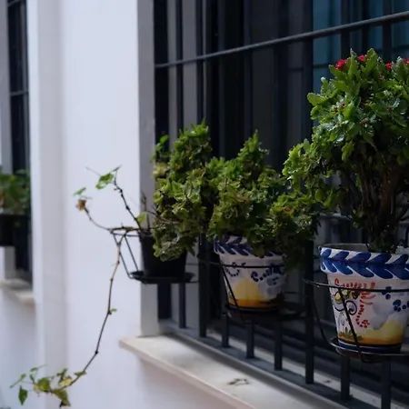 Acogedor En Triana - Wifi Apartment Seville