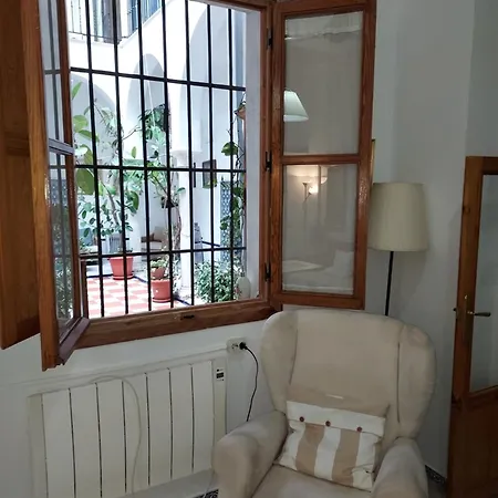 Apartment Patio Sevillano Flores Seville