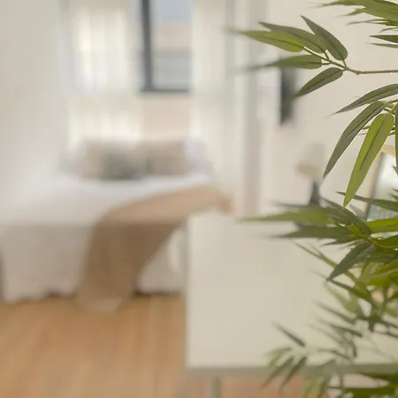 Premium Serenity Apartment