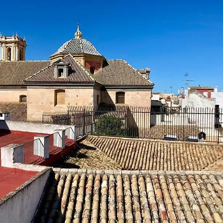 Apartment Atico Con Gran Terraza Privada - Cozyhomesevilla8