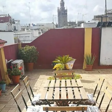 Beautiful Ap 3 Bedroom 6px Center Refurbished19 Apartment *