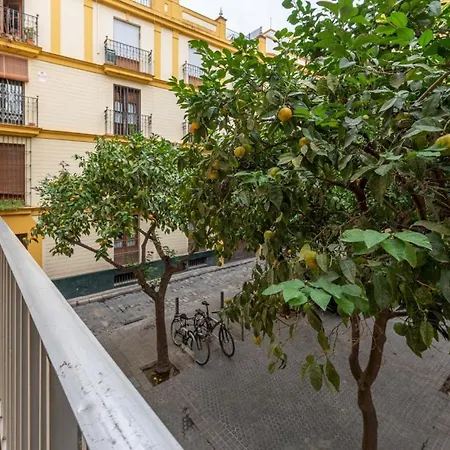 Apartment Wide With Beautiful Kitchen 2bd 3bth -arenal