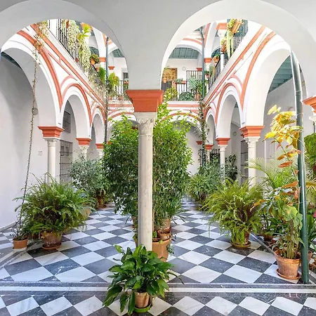Apartment Genteel San Isidoro Ii *