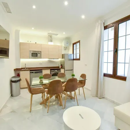 Apartment New! Modern In Neighborhood Seville