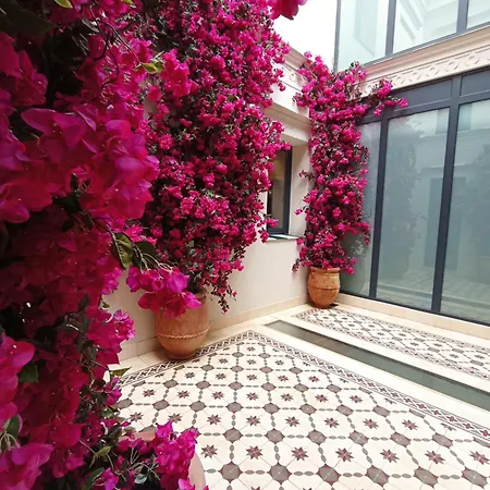 Boutique La Parada Del Marqués 3*