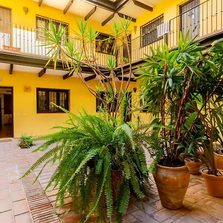 Loft En El Corral Del Horno Seville