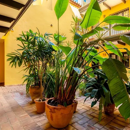 Loft En El Corral Del Horno