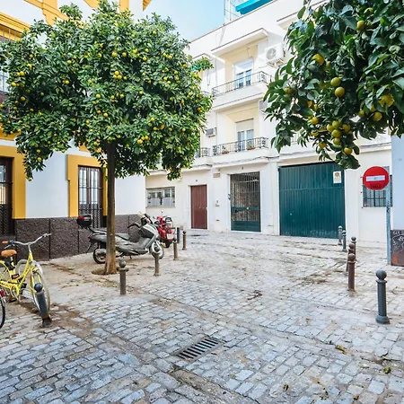 Bright Bunk Bed In Historic Center * Seville