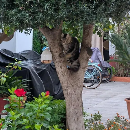 Tipico Y Pintoresco Patio De Vecinos, Con Encanto Апартаменты