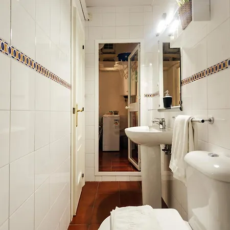 Apartment Alohamundi Joaquin Costa Seville