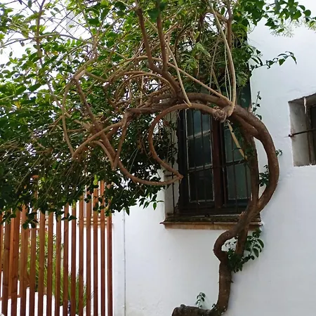 Selecta - Carrion Mejias Apartment Seville