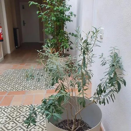 Alegoria Coliving Experience * Seville