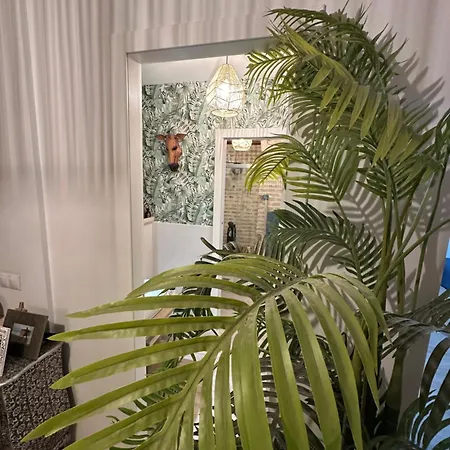 Séjour chez l'habitant Casa Duque Compartida Familiar 1-Habitacion Con Bano Propio