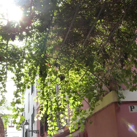 Aires De Santa Cruz