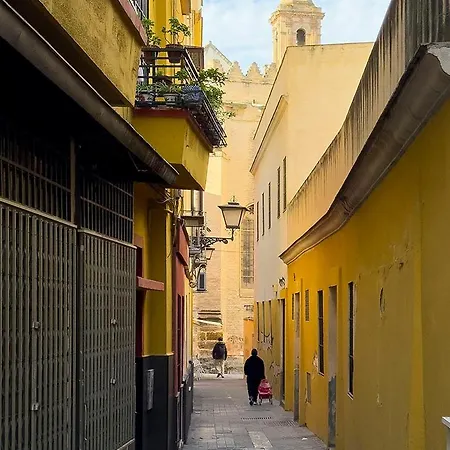 La Casita Del Mercado De Feria Apartment