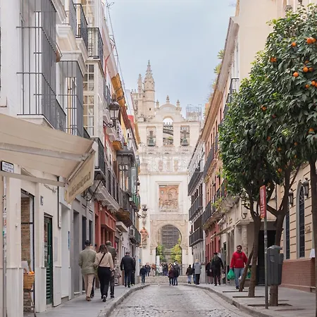 Lujoso En Casco Antiguo De Seville