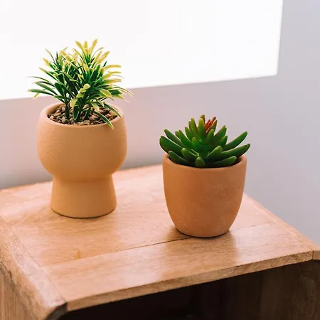 Echo Loft Boutique *