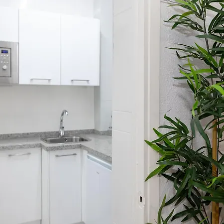 Apartment Trianasol *