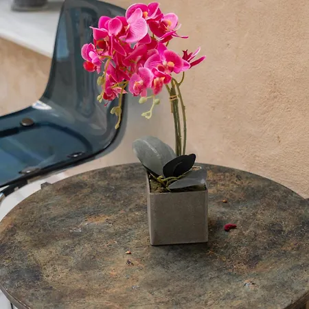 Center San Eloy Guest house Seville