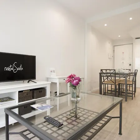Rentalsevilla Pacheco Y Nunez Del Prado Apartment Seville