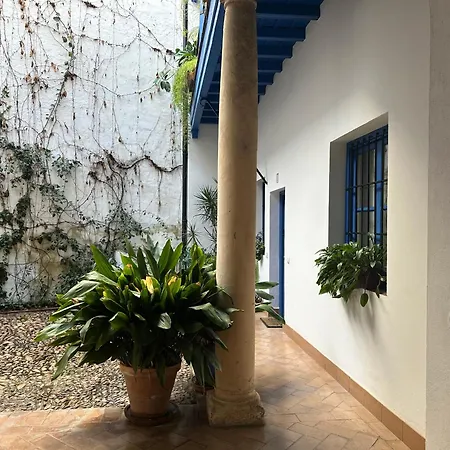 Vidrio 30-32 * Siviglia
