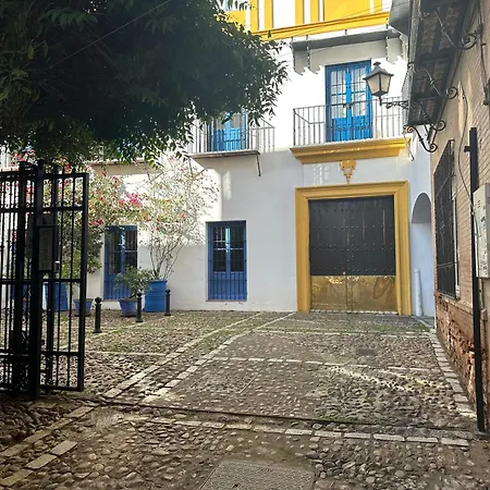 Vidrio 30-32 Appartamento