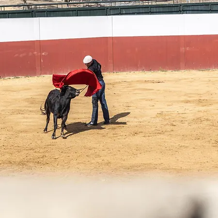 호텔 Hospedium Rural Virgen Maria 2*