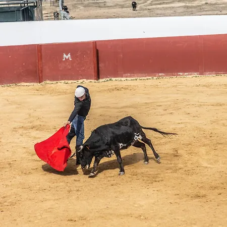 Hospedium Rural Virgen Maria 호텔