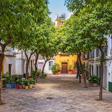 Appartamento Encantador A Un Paso De La Catedral
