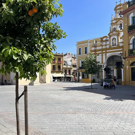 Center - Aloha Seville