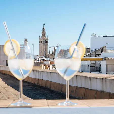 New Hostly Arenal Seville