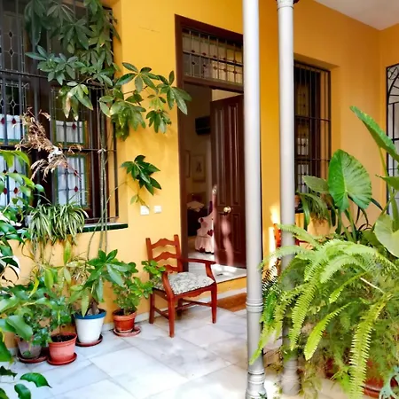 Apartment Dreaming Seville