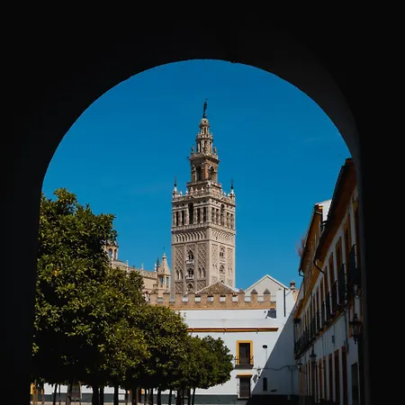 Calma Places - San Eloy 20 Apartamento