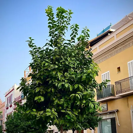 Casa Castilla 31