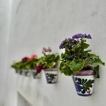 Aparthome Sanroman Sevilla