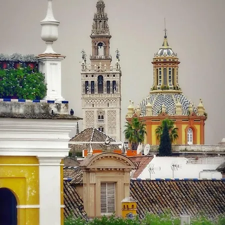 La Azotea Del Sol * Seville