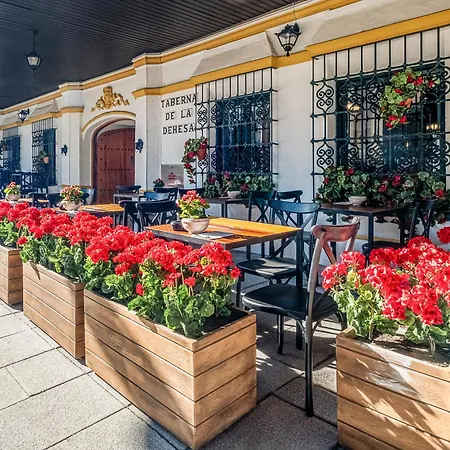 Hotel Melia Lebreros