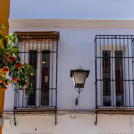 G4 Brand New San Bernardo Terraza *