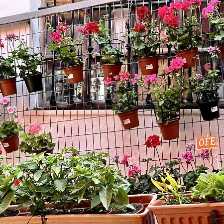 Feria Apartment *