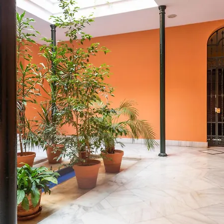 Alohamundi Campana Ii * Seville
