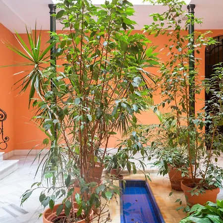 Alohamundi Campana Ii Apartment *